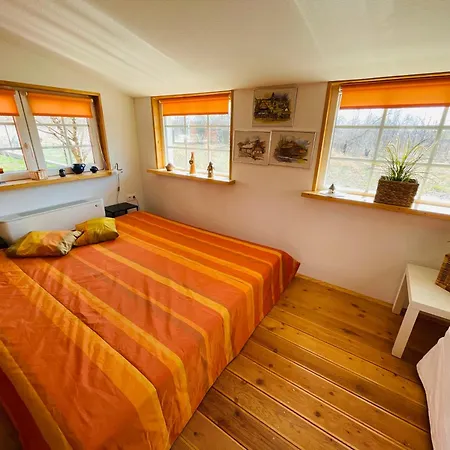 Villa Botanica Vendeghaz - Finnish Sauna